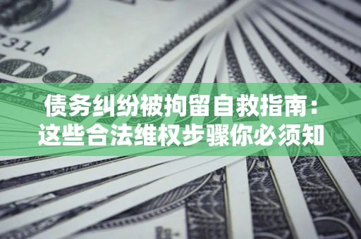 武汉债务纠纷被拘留自救指南：这些合法维权步骤你必须知道！