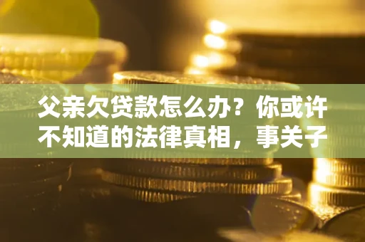 武汉父亲欠贷款怎么办？你或许不知道的法律真相，事关子女未来