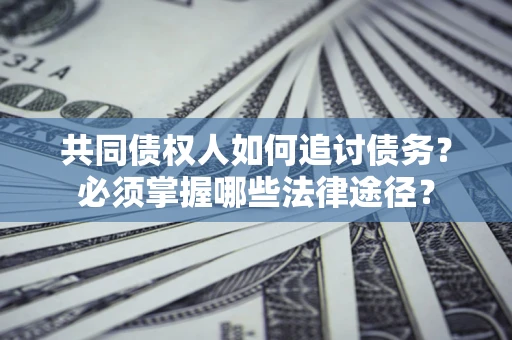武汉共同债权人如何追讨债务？必须掌握哪些法律途径？