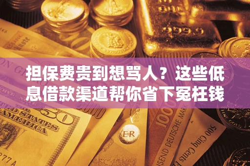 武汉担保费贵到想骂人？这些低息借款渠道帮你省下冤枉钱