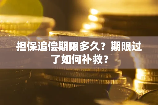 武汉担保追偿期限多久？期限过了如何补救？