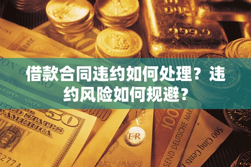 武汉借款合同违约如何处理？违约风险如何规避？