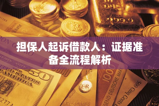 武汉担保人起诉借款人：证据准备全流程解析