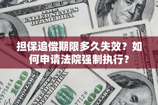 武汉担保追偿期限多久失效？如何申请法院强制执行？