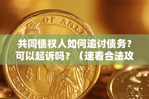 武汉共同债权人如何追讨债务？可以起诉吗？（速看合法攻略）