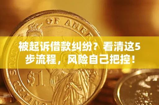 武汉被起诉借款纠纷？看清这5步流程，风险自己把控！