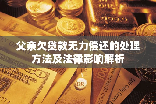 武汉父亲欠贷款无力偿还的处理方法及法律影响解析