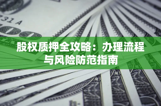武汉股权质押全攻略：办理流程与风险防范指南