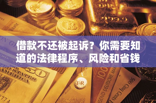 武汉借款不还被起诉？你需要知道的法律程序、风险和省钱技巧