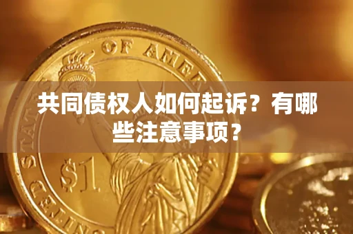 武汉共同债权人如何起诉？有哪些注意事项？